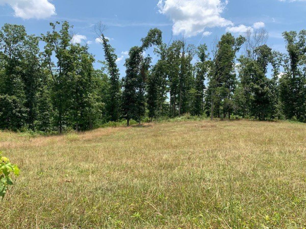 Picture of Residential Land For Sale in Sparta, Tennessee, United States