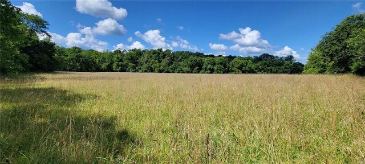 Picture of Residential Land For Sale in Troy, Missouri, United States