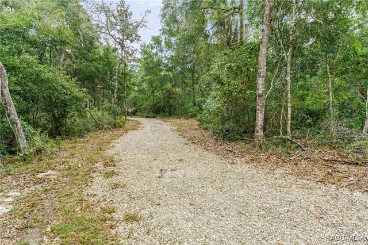 Picture of Residential Land For Sale in Brooksville, Florida, United States