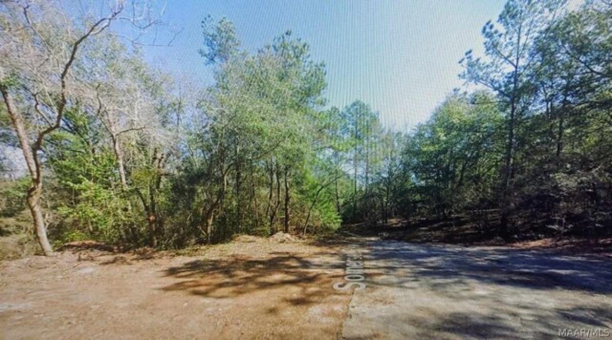 Picture of Residential Land For Sale in Daleville, Alabama, United States