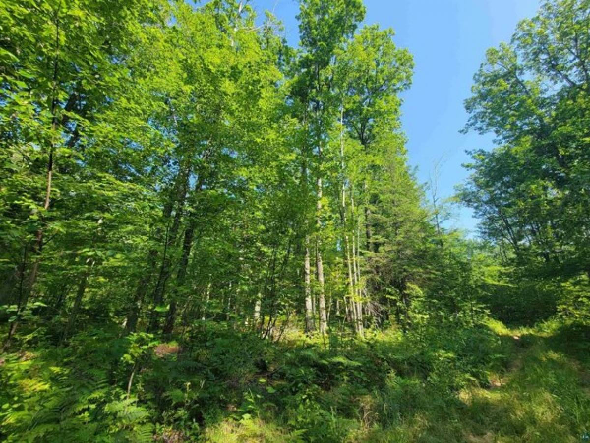 Picture of Residential Land For Sale in Port Wing, Wisconsin, United States