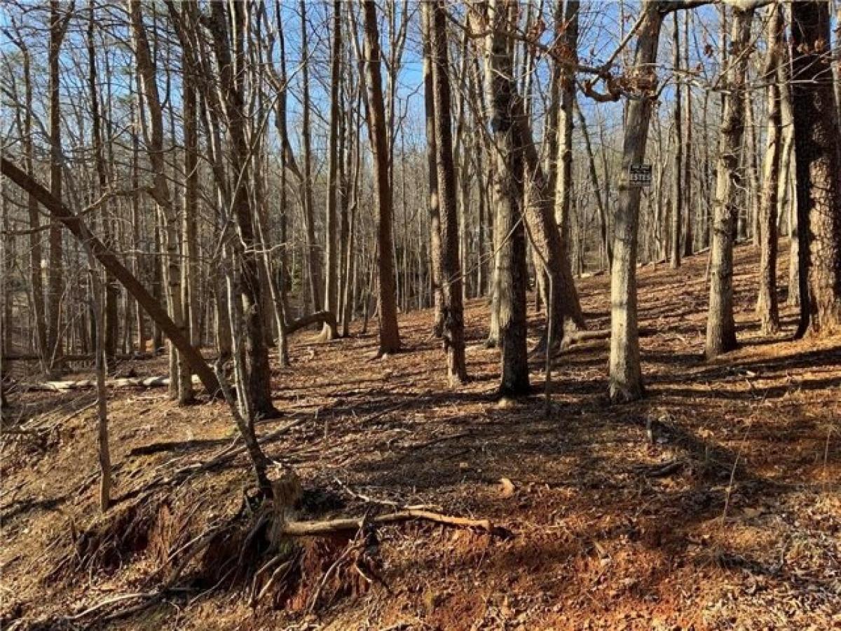 Picture of Residential Land For Sale in Jasper, Georgia, United States