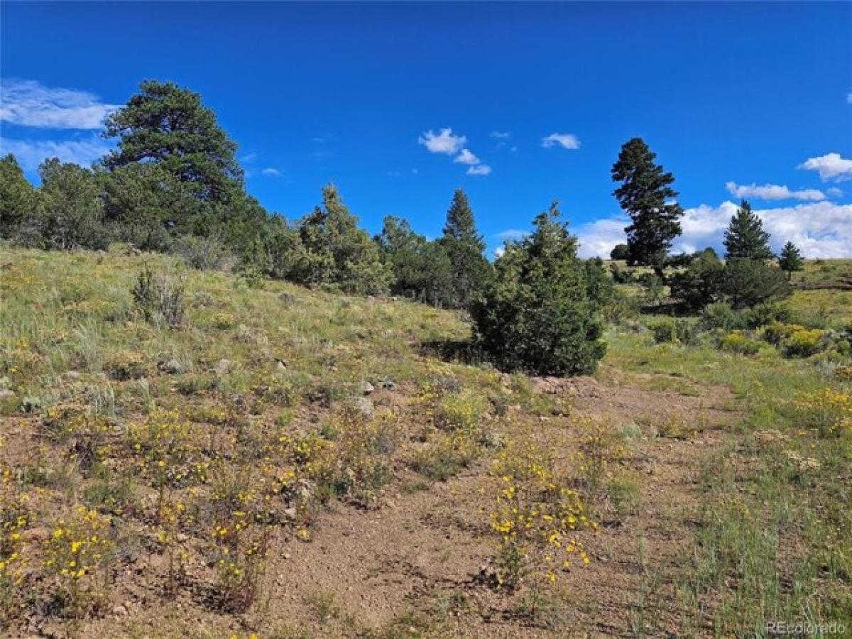 Picture of Residential Land For Sale in South Fork, Colorado, United States