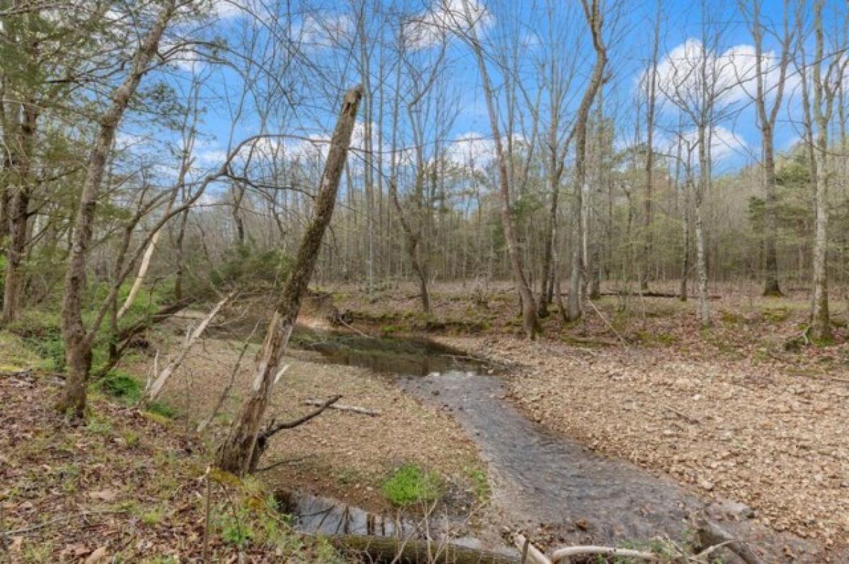 Picture of Residential Land For Sale in Mcewen, Tennessee, United States