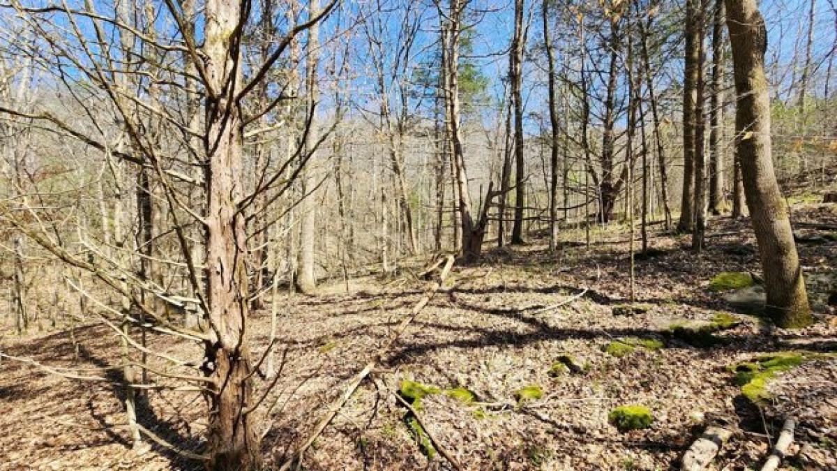 Picture of Residential Land For Sale in Smithville, Tennessee, United States