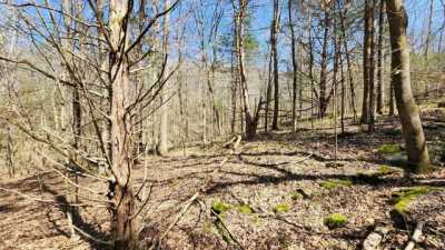 Residential Land For Sale in Smithville, Tennessee