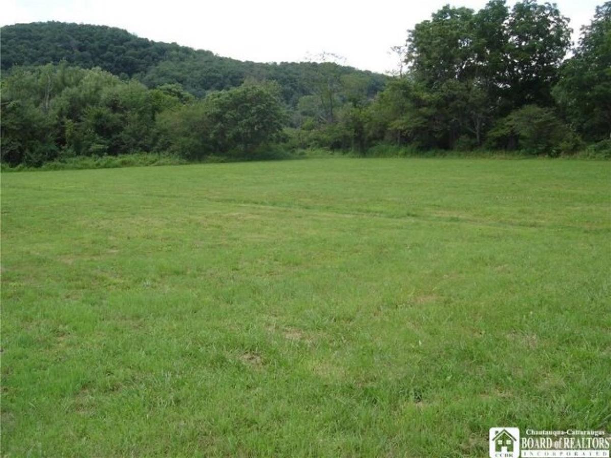 Picture of Residential Land For Sale in Allegany, New York, United States