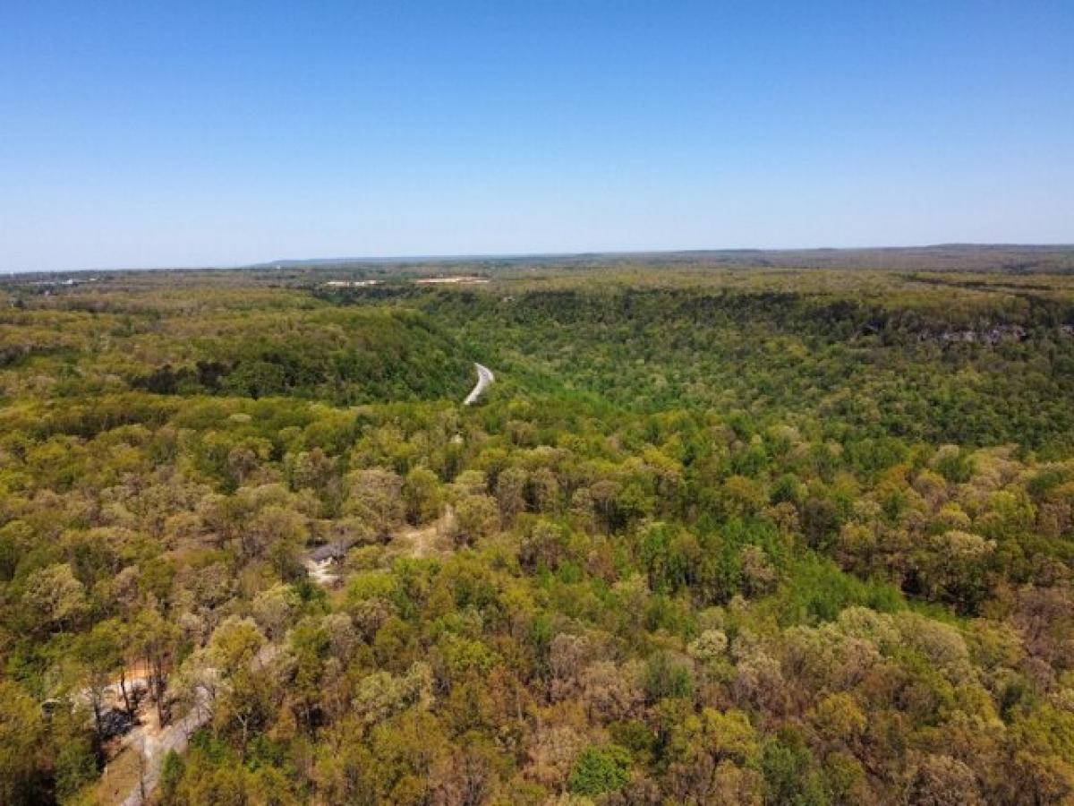 Picture of Residential Land For Sale in Monteagle, Tennessee, United States