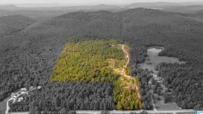 Residential Land For Sale in Ashville, Alabama