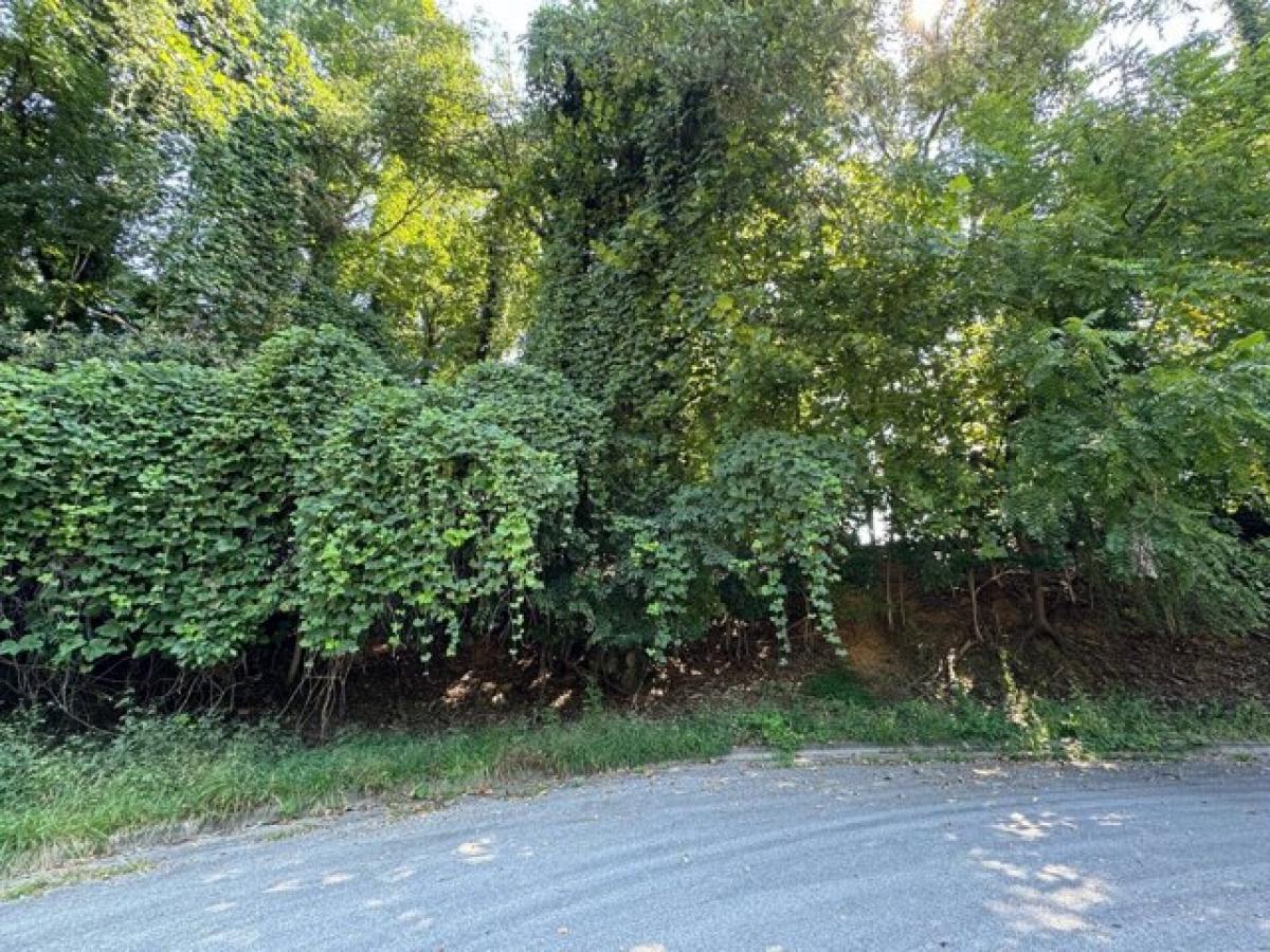 Picture of Residential Land For Sale in Roanoke, Virginia, United States