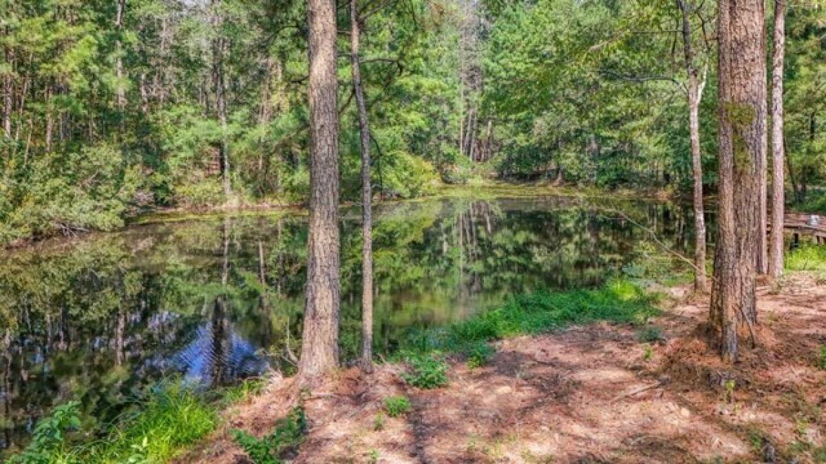 Picture of Residential Land For Sale in Crosby, Mississippi, United States