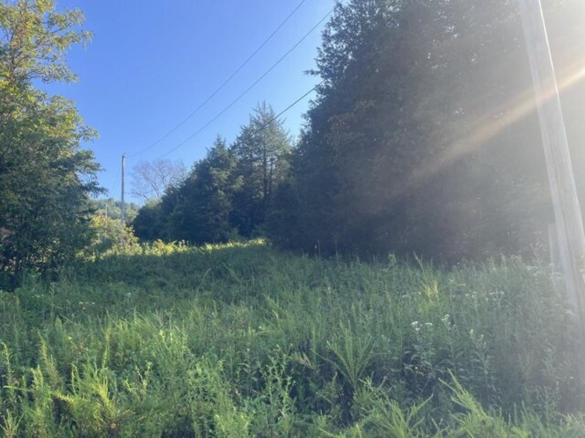 Picture of Residential Land For Sale in Pleasant Shade, Tennessee, United States