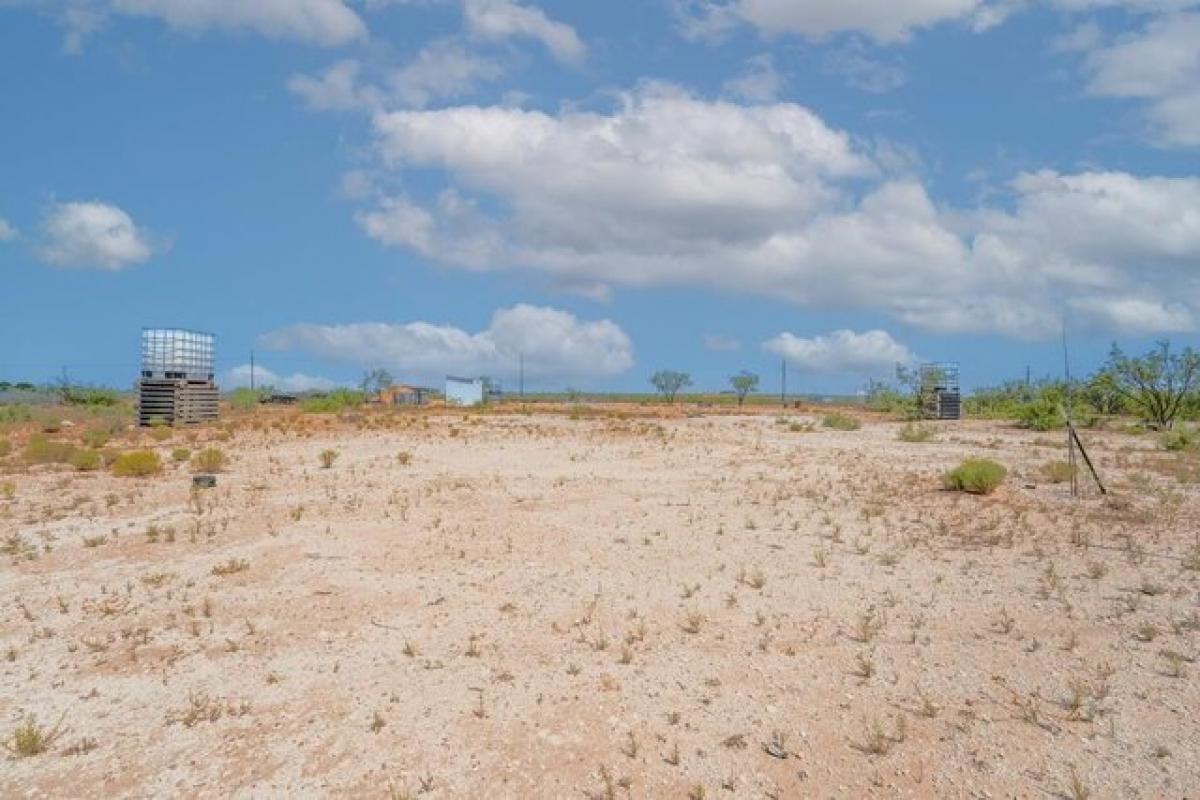 Picture of Residential Land For Sale in Midland, Texas, United States