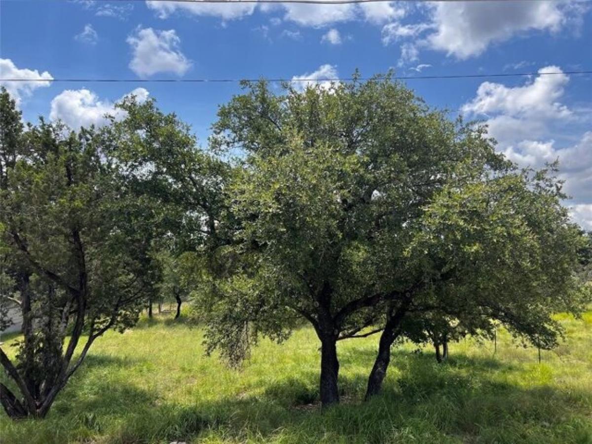 Picture of Residential Land For Sale in Dripping Springs, Texas, United States