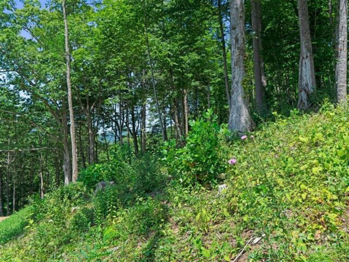 Picture of Residential Land For Sale in Spruce Pine, North Carolina, United States