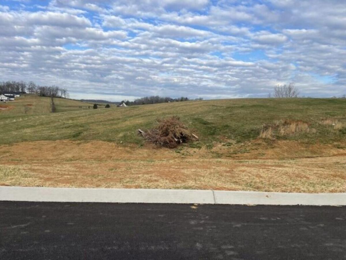 Picture of Residential Land For Sale in Jonesborough, Tennessee, United States