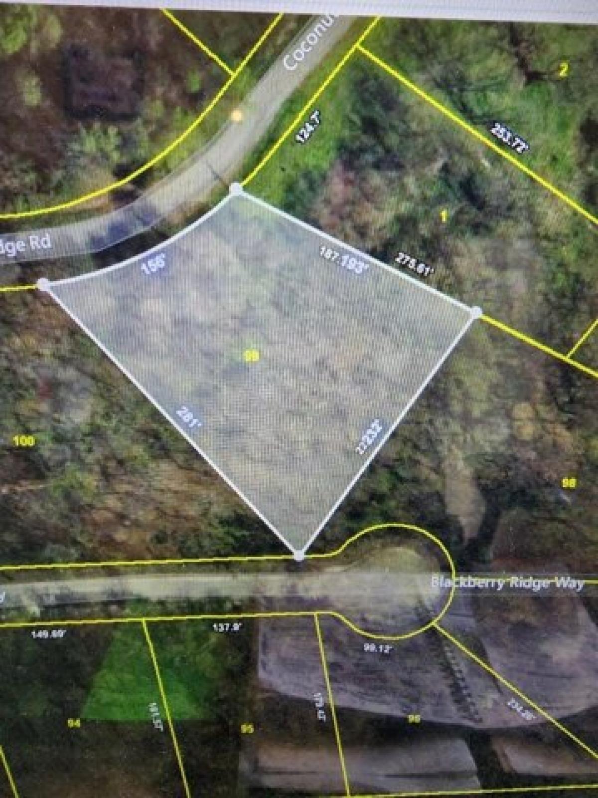 Picture of Residential Land For Sale in Smithville, Tennessee, United States