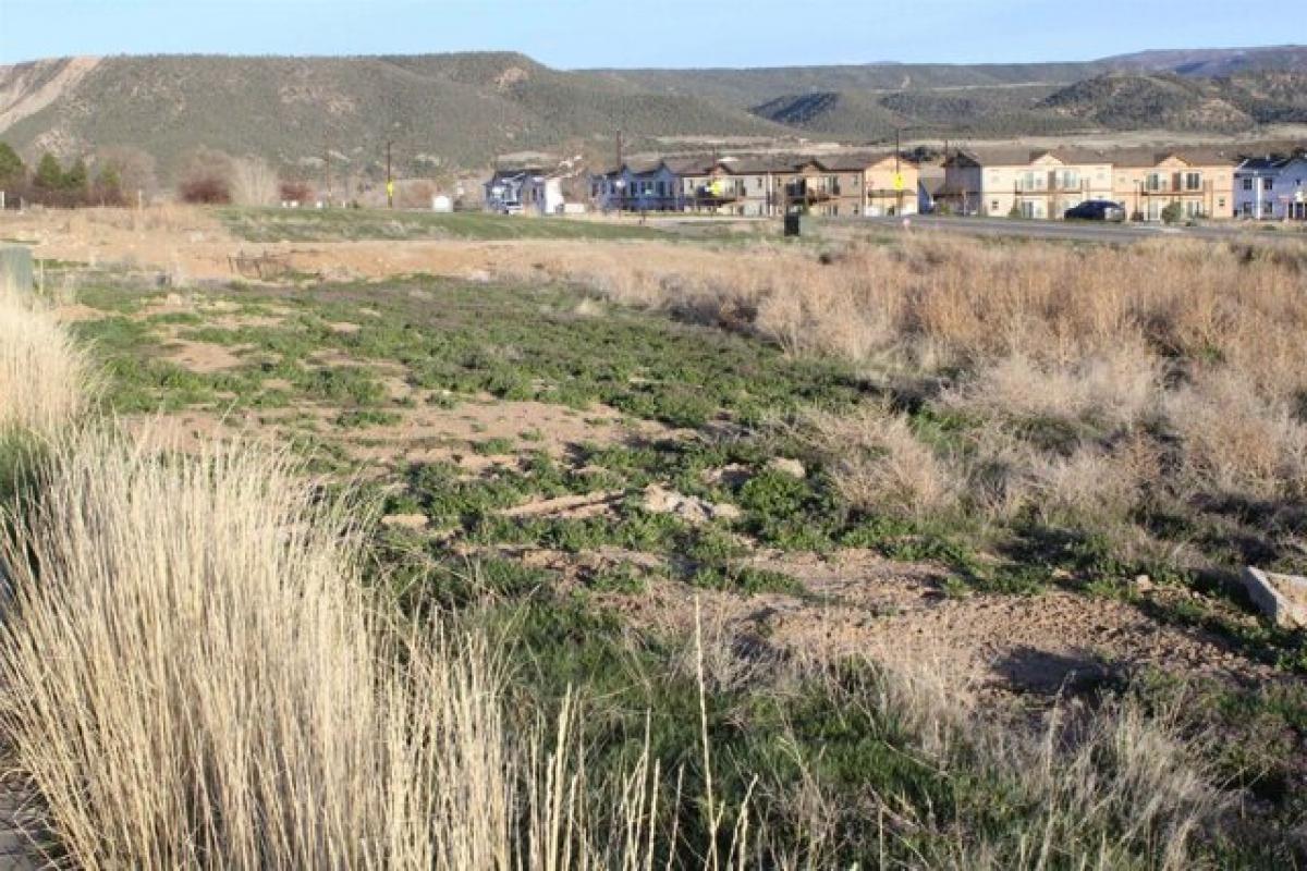 Picture of Residential Land For Sale in Silt, Colorado, United States