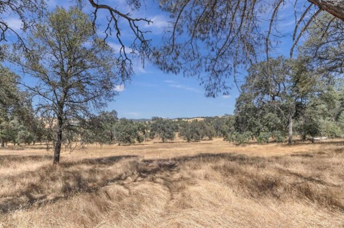 Picture of Residential Land For Sale in Angels Camp, California, United States