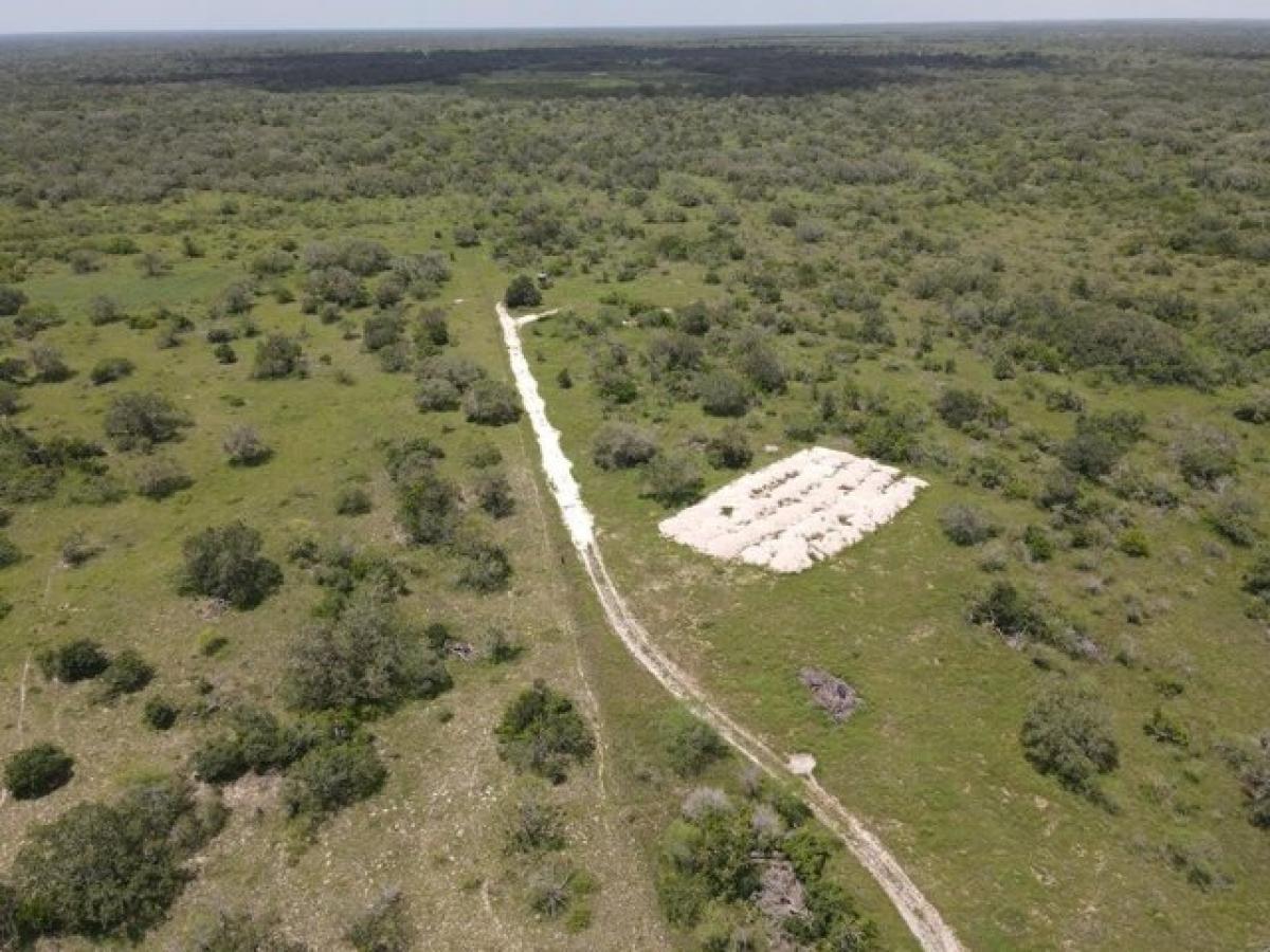 Picture of Residential Land For Sale in Goliad, Texas, United States