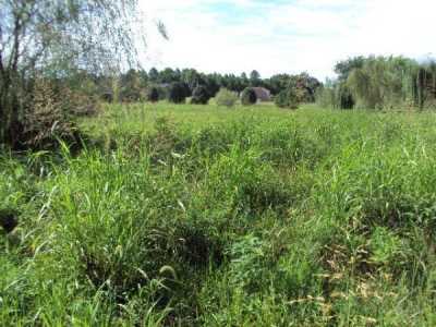 Residential Land For Sale in 