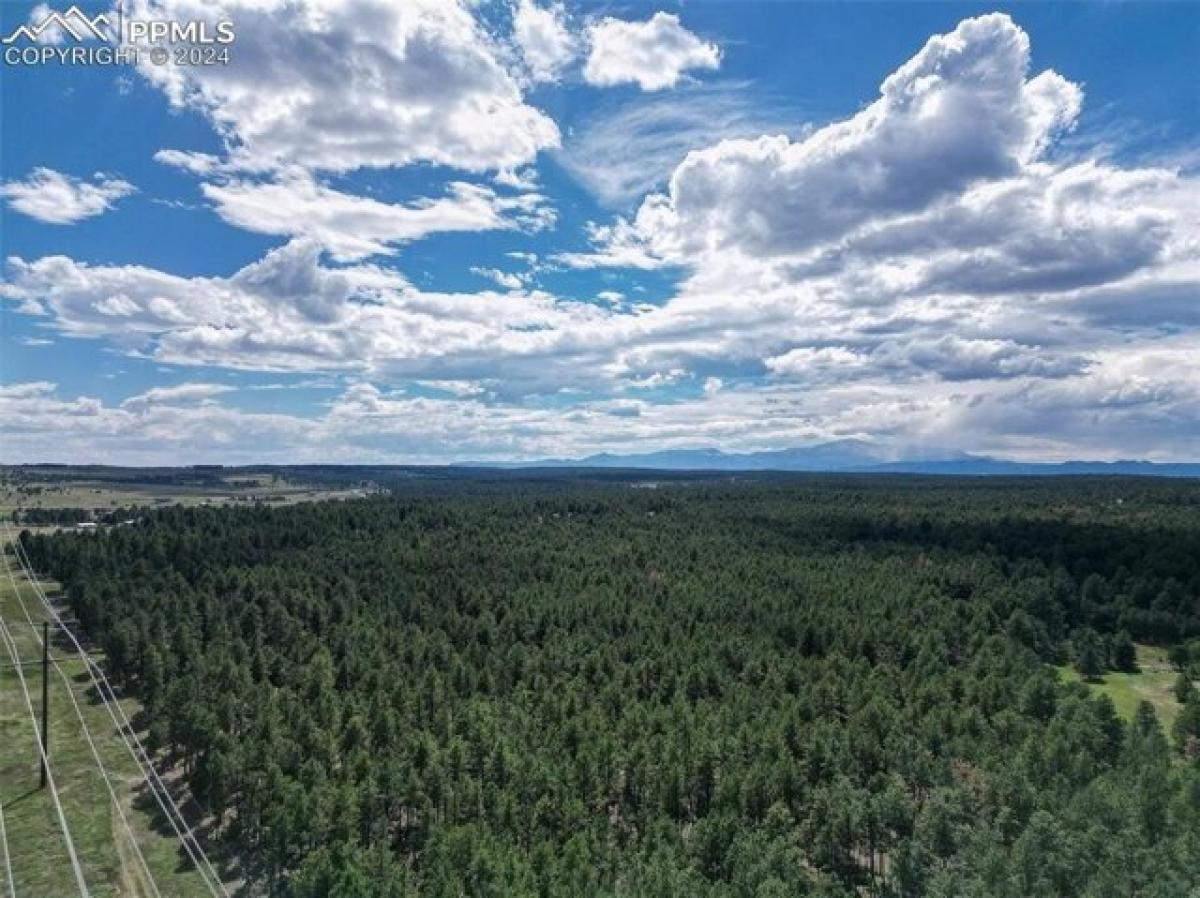 Picture of Residential Land For Sale in Colorado Springs, Colorado, United States