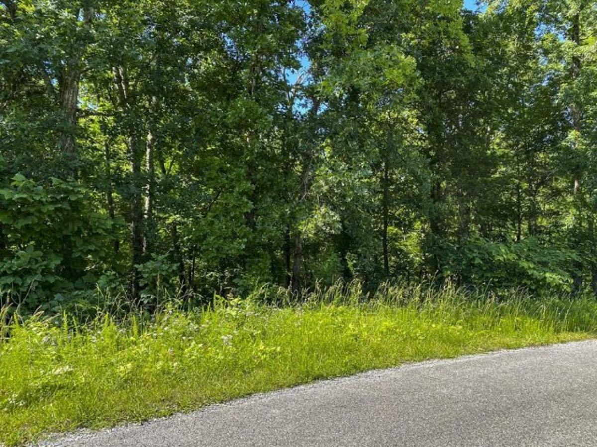 Picture of Residential Land For Sale in Dandridge, Tennessee, United States