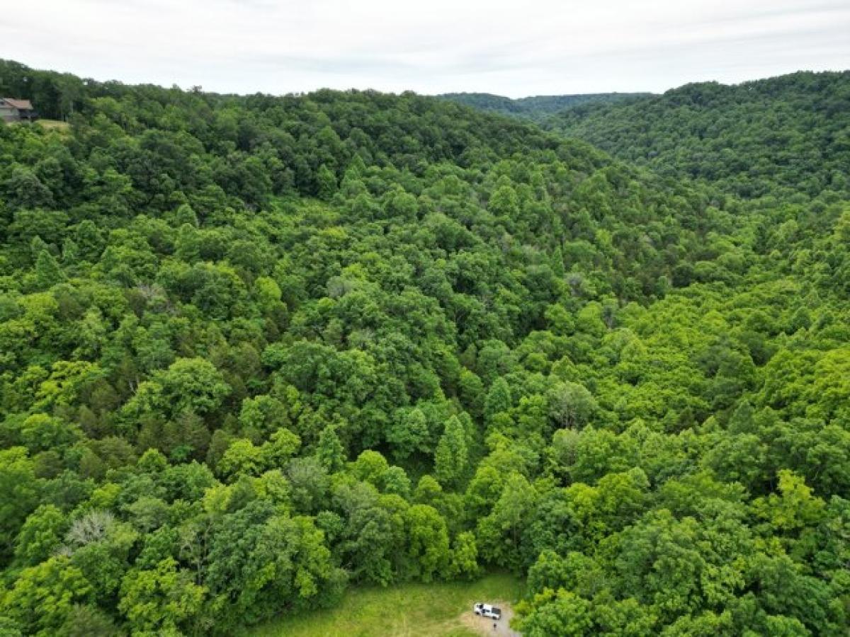 Picture of Residential Land For Sale in Smithville, Tennessee, United States