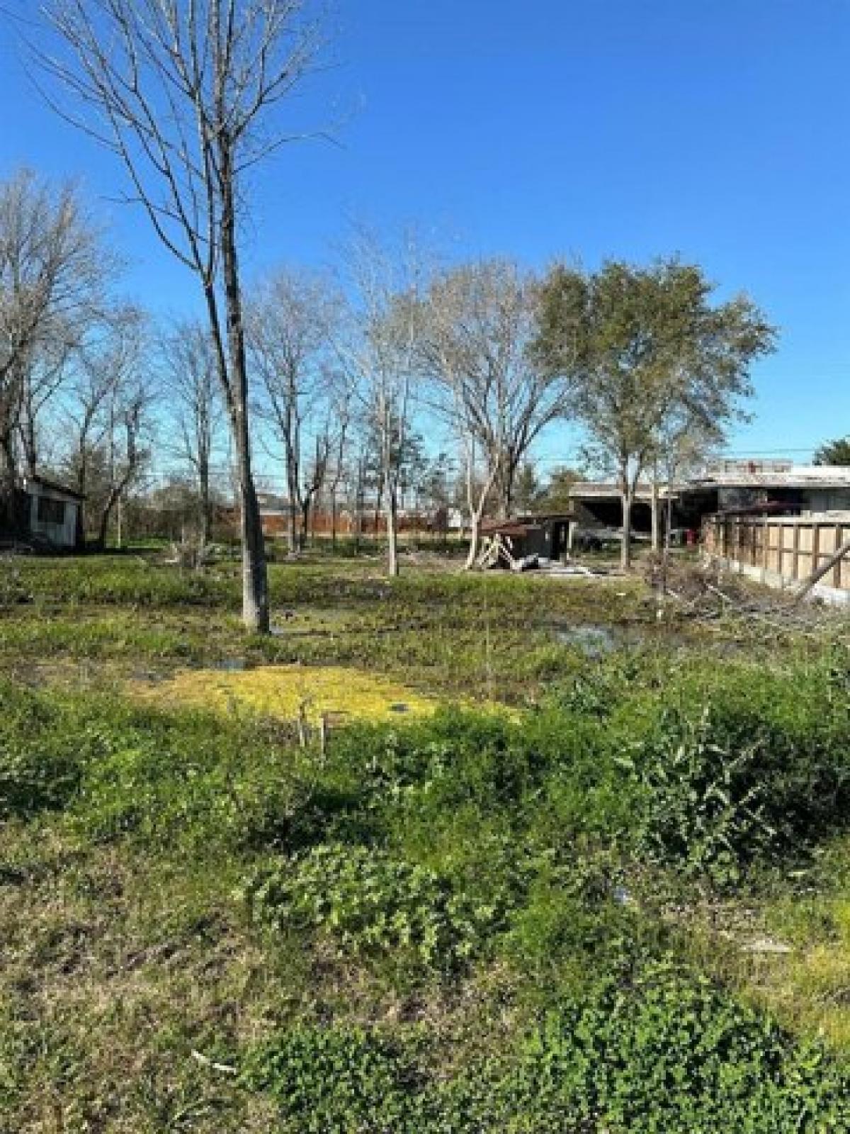 Picture of Residential Land For Sale in Rosharon, Texas, United States