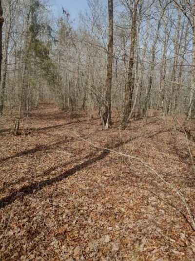 Residential Land For Sale in 