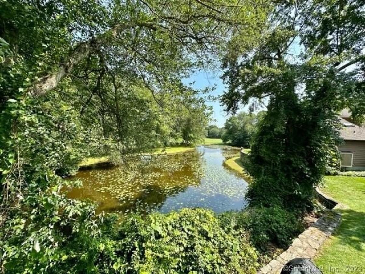 Picture of Home For Rent in Shelton, Connecticut, United States