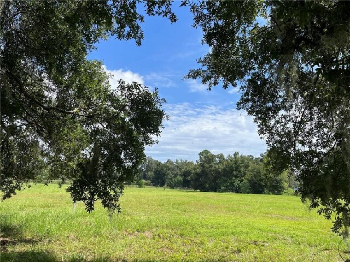 Picture of Residential Land For Sale in Summerfield, Florida, United States