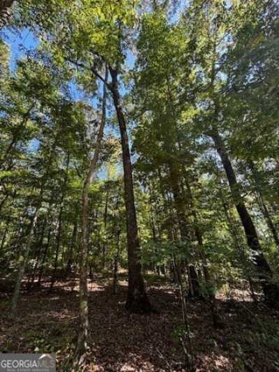 Residential Land For Sale in Wadley, Alabama