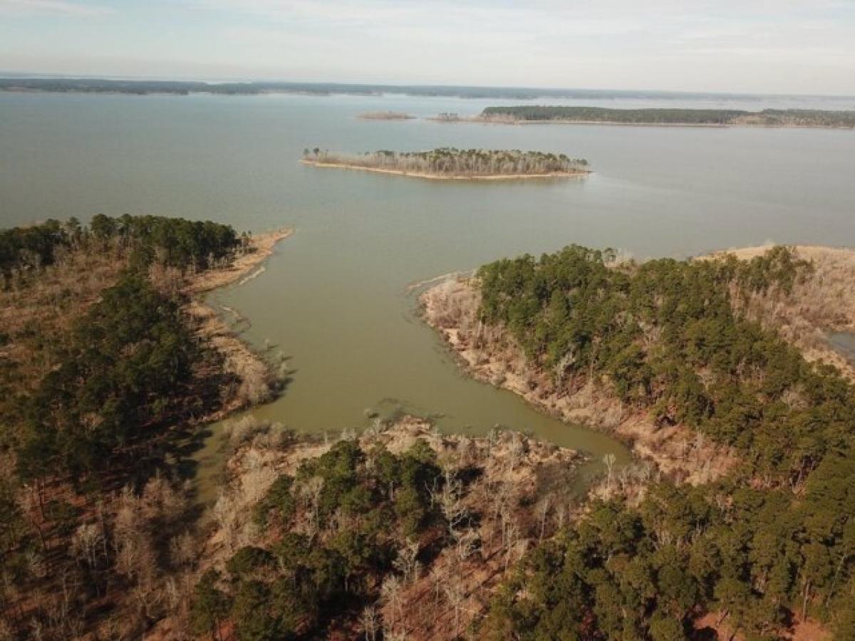 Picture of Residential Land For Sale in Brookeland, Texas, United States