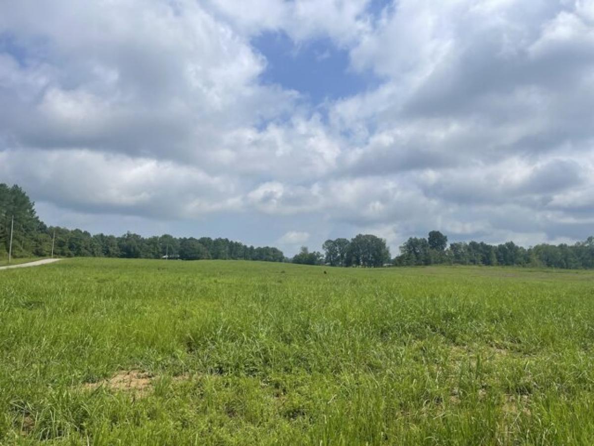 Picture of Residential Land For Sale in Loretto, Tennessee, United States