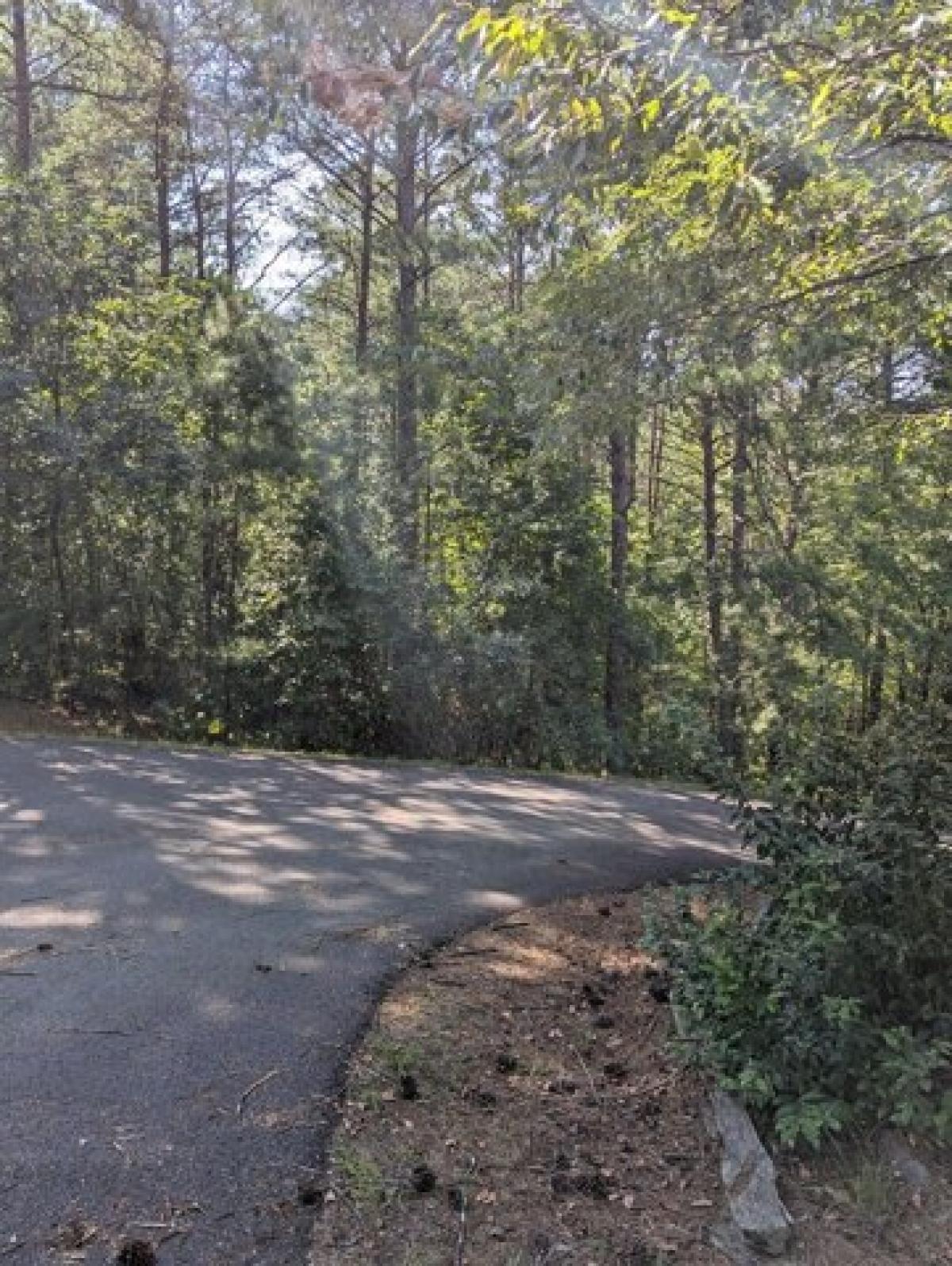 Picture of Residential Land For Sale in Copperhill, Tennessee, United States