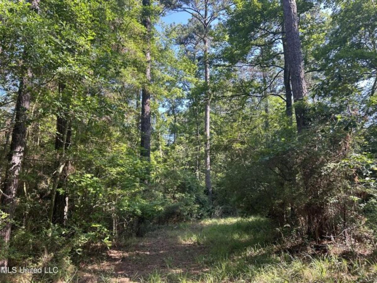 Picture of Residential Land For Sale in Magnolia, Mississippi, United States