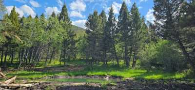 Residential Land For Sale in Helmville, Montana