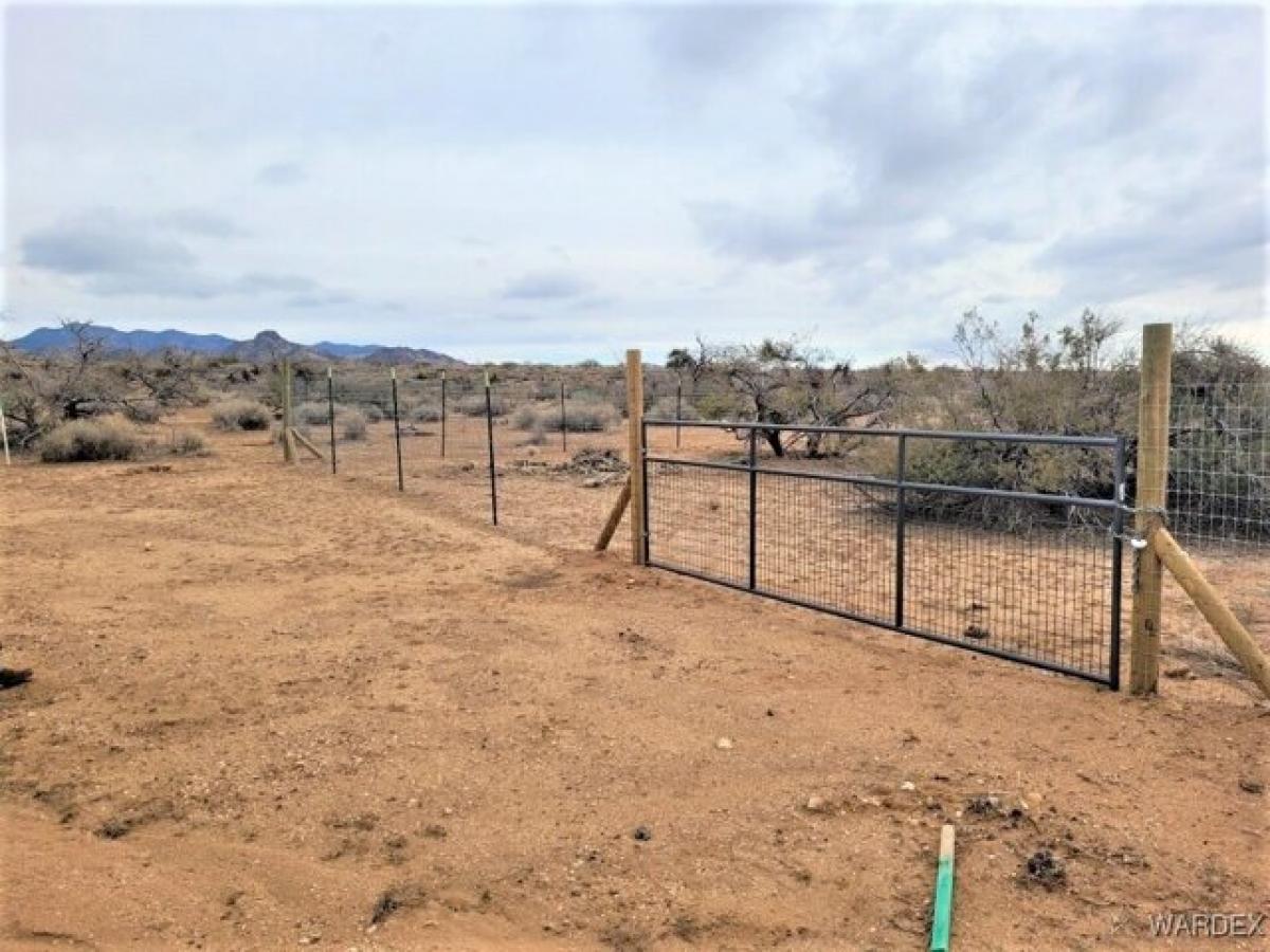 Picture of Residential Land For Sale in Chloride, Arizona, United States