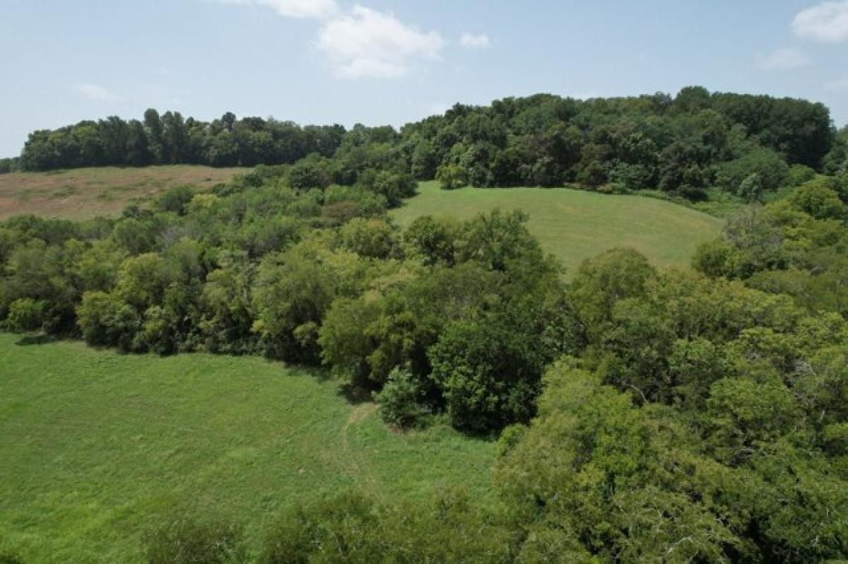 Picture of Residential Land For Sale in Santa Fe, Tennessee, United States