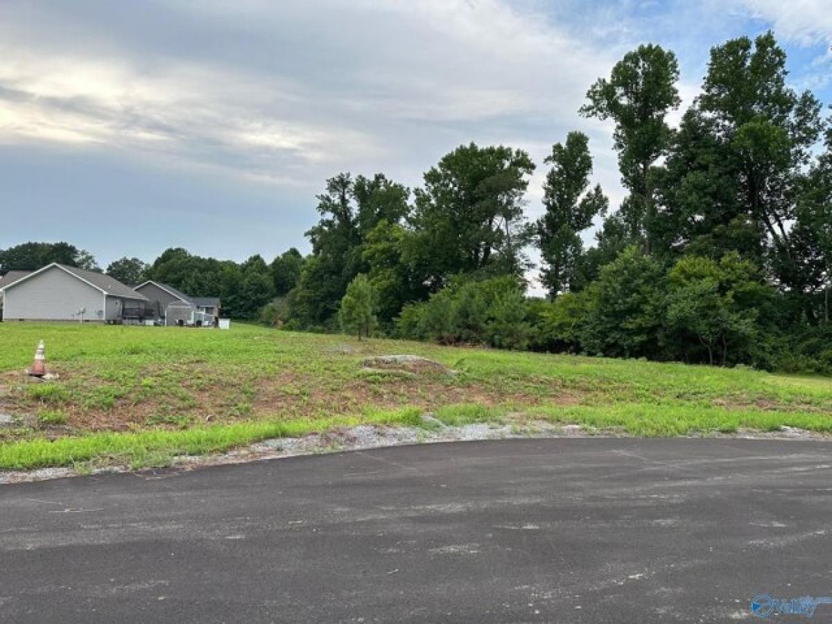 Picture of Residential Land For Sale in Rainsville, Alabama, United States