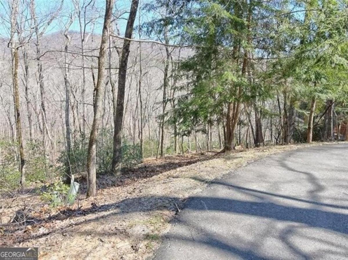 Picture of Residential Land For Sale in Jasper, Georgia, United States