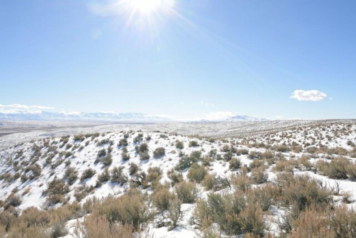 Picture of Residential Land For Sale in Elko, Nevada, United States