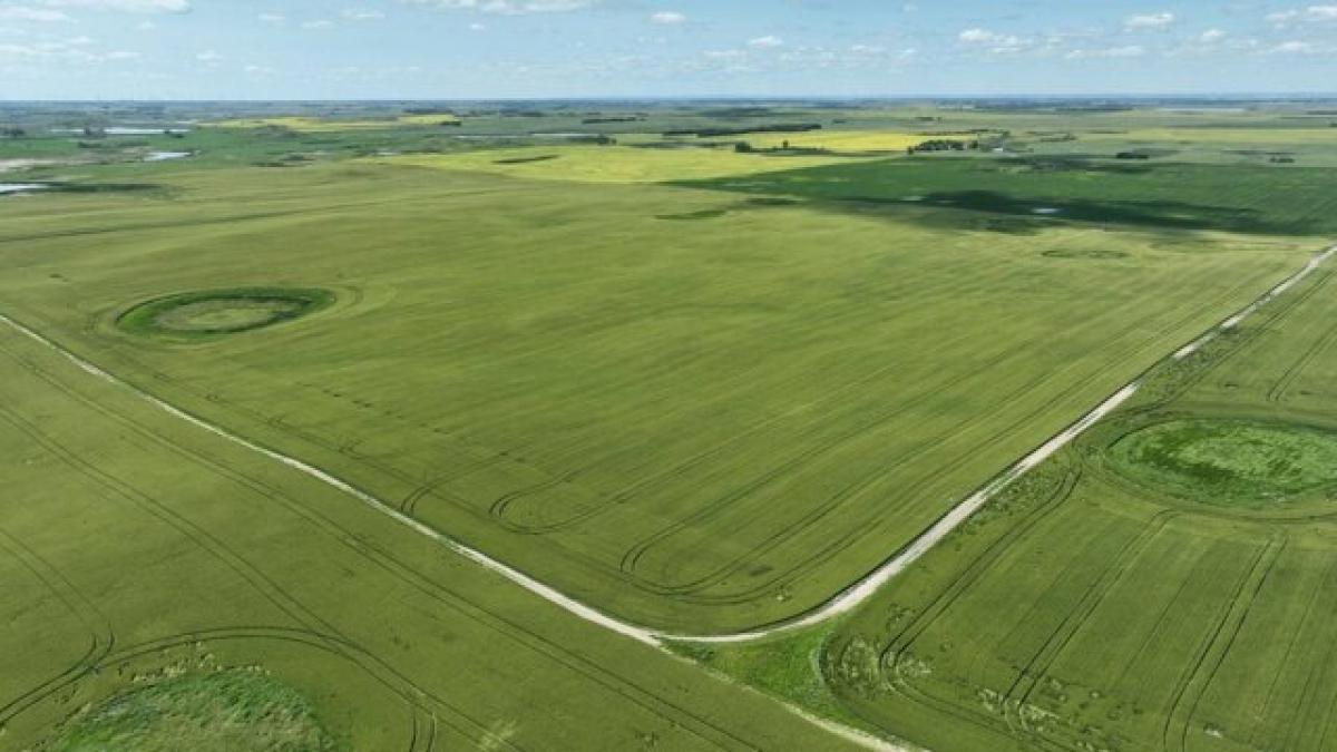 Picture of Residential Land For Rent in Wolford, North Dakota, United States