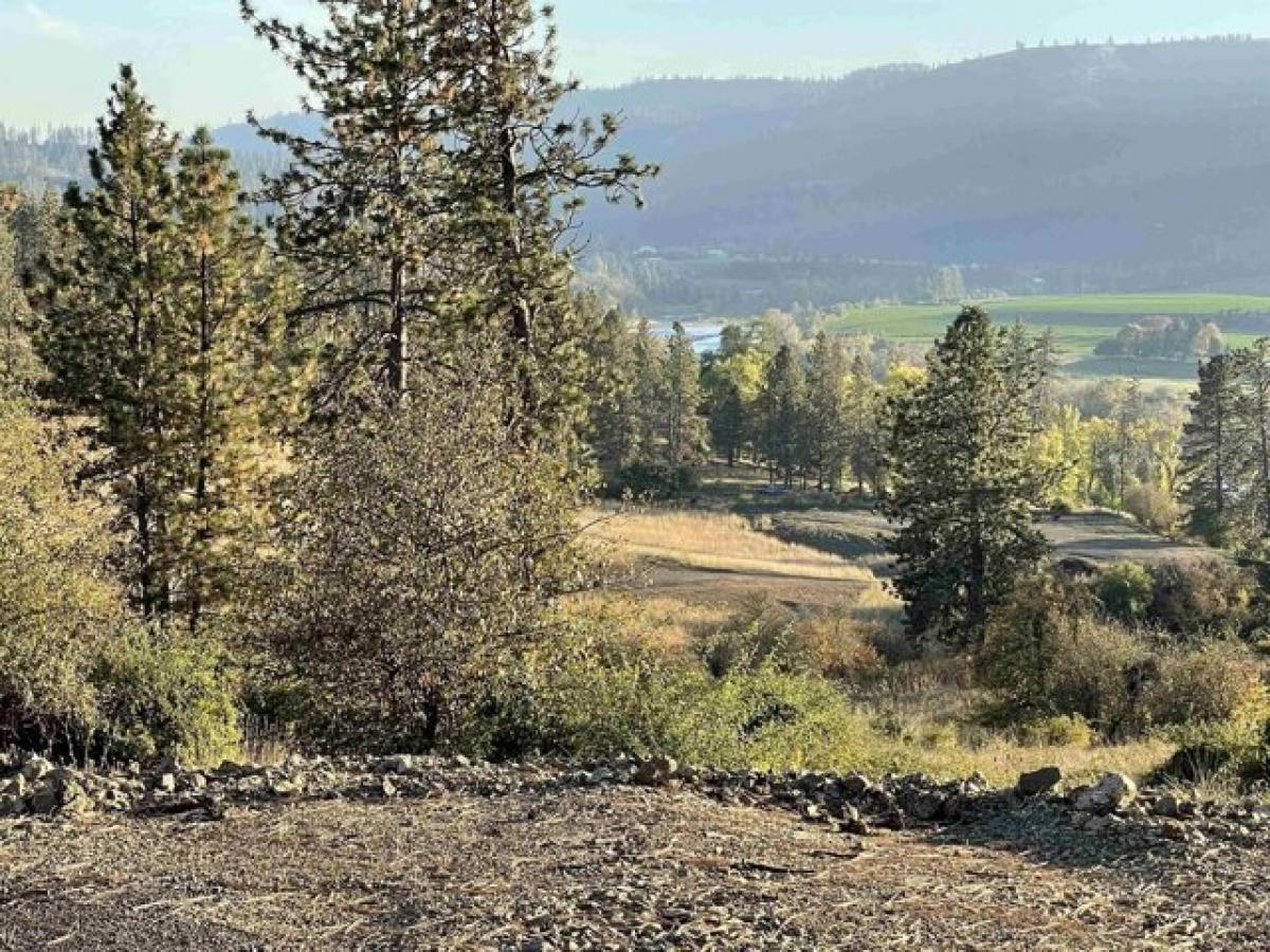 Picture of Residential Land For Sale in Kamiah, Idaho, United States