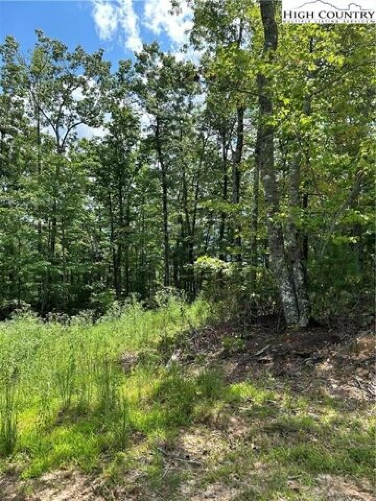 Picture of Residential Land For Sale in Ferguson, North Carolina, United States