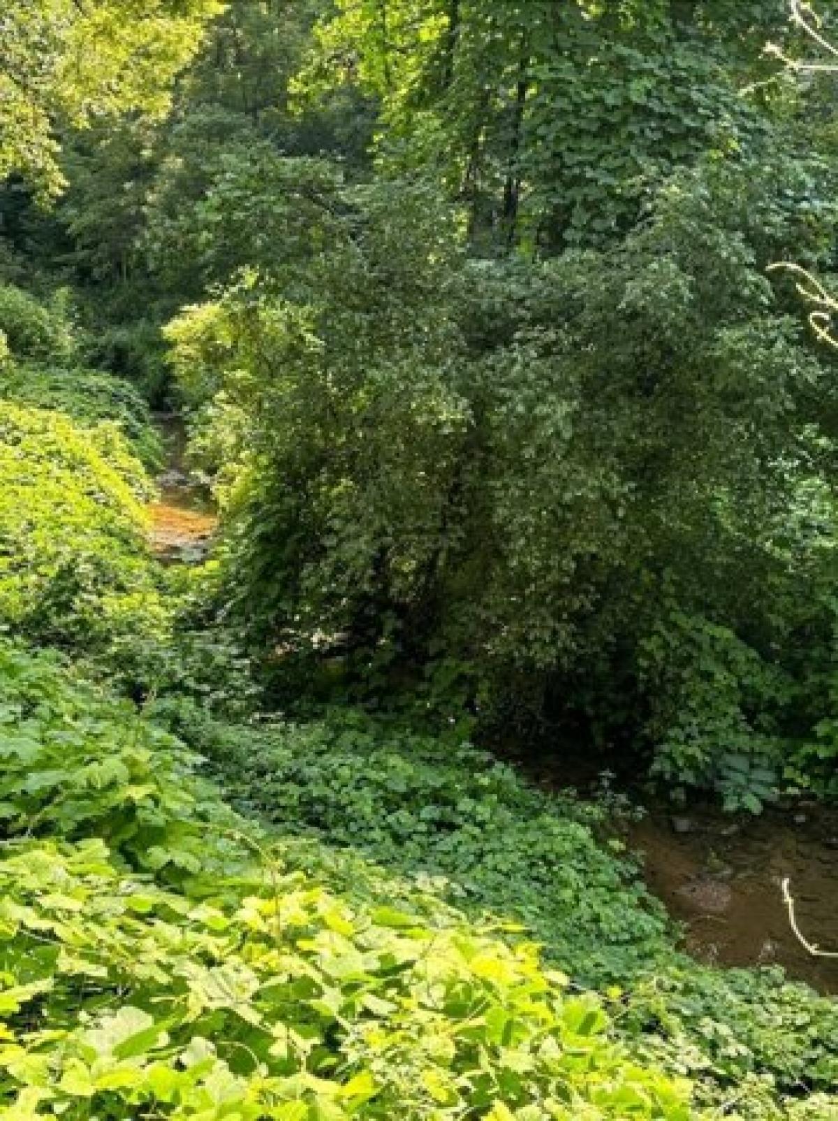 Picture of Residential Land For Sale in Pigeon Forge, Tennessee, United States