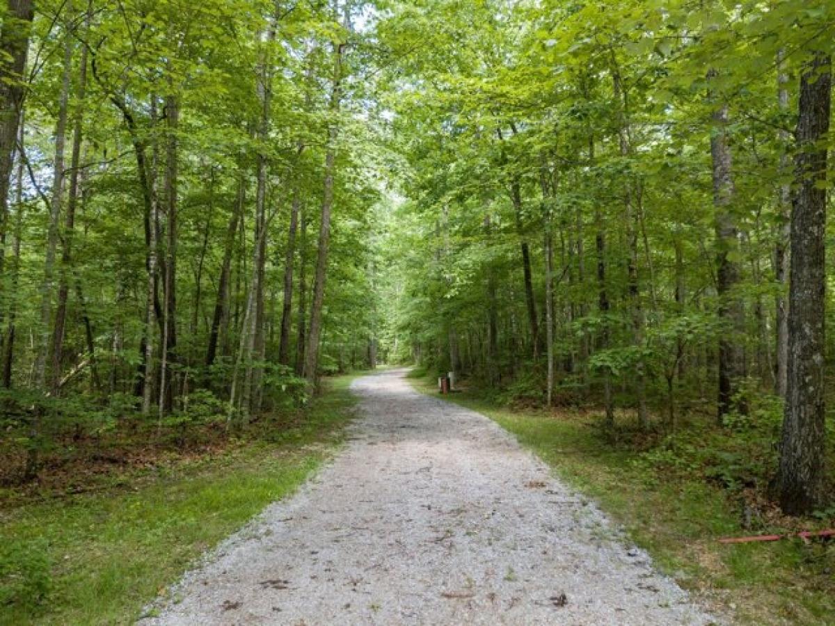 Picture of Residential Land For Sale in Coalmont, Tennessee, United States