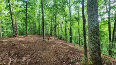 Residential Land For Sale in 