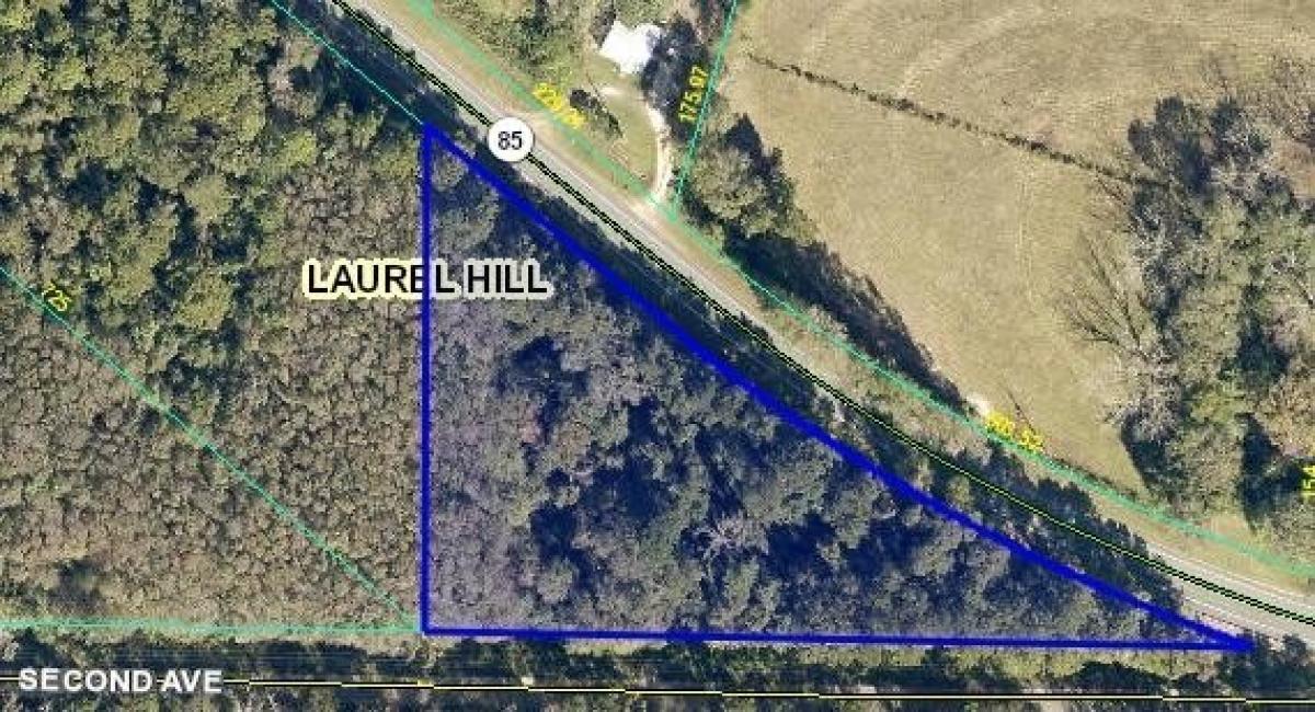 Picture of Residential Land For Sale in Laurel Hill, Florida, United States